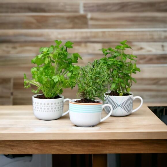 Disney Frozen II Olaf Coffee Mug Cup Elsa Ana - Picture 12 of 15